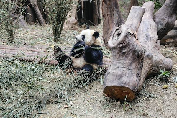淘宝主图分辨率是72吗？附注意事项!
